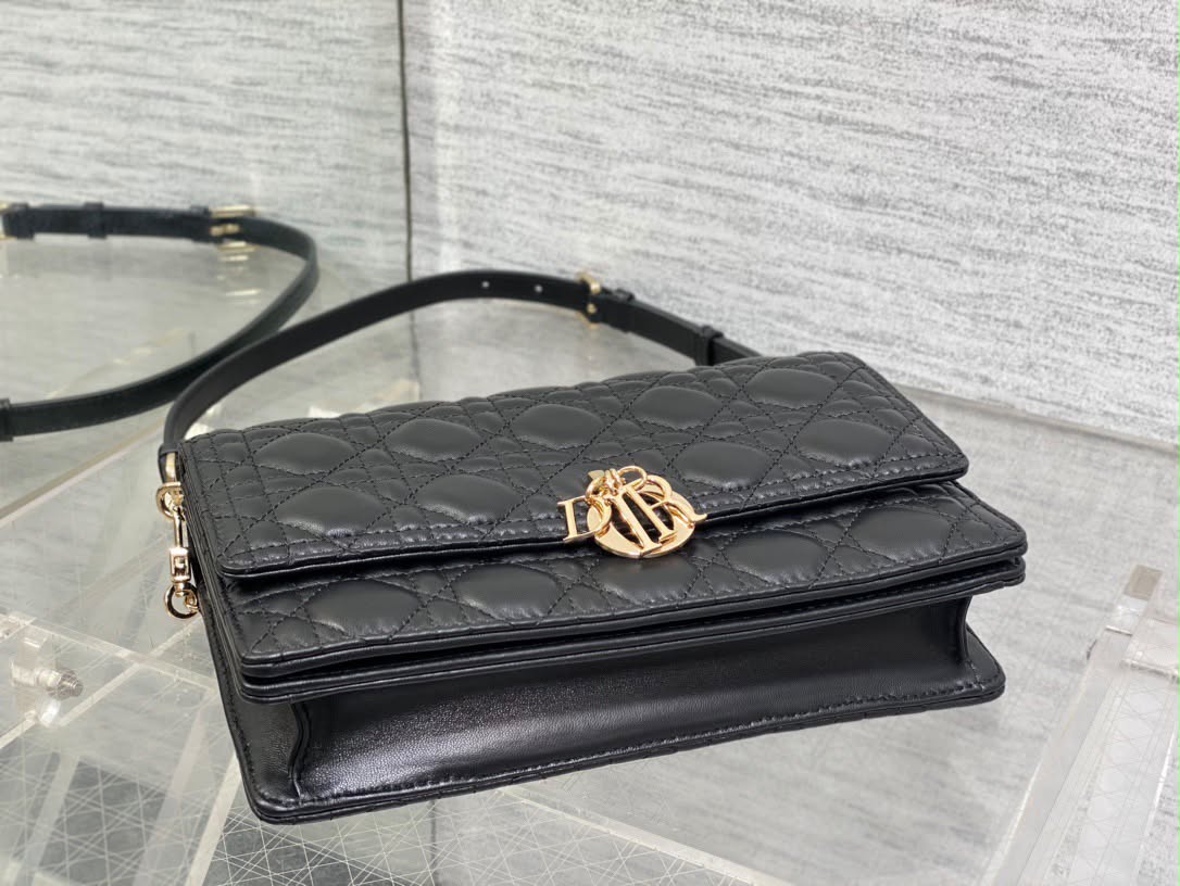 Borsa Cristian Dior