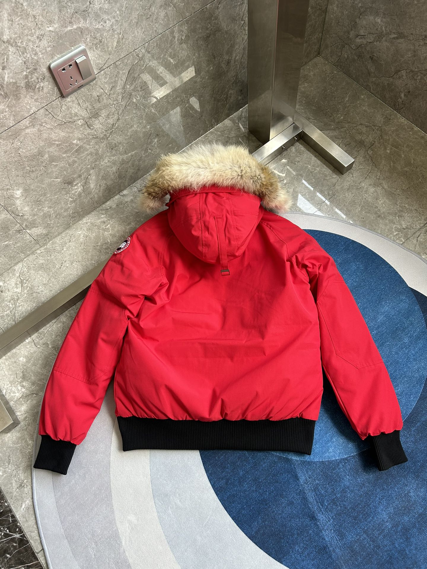 Canada Goose